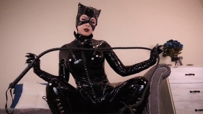 11265 - CATWOMAN DRY HUMPS BATMAN