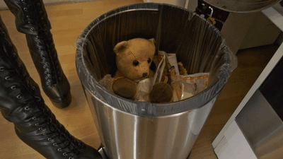 17748 - Your beloved teddy is just junk to me