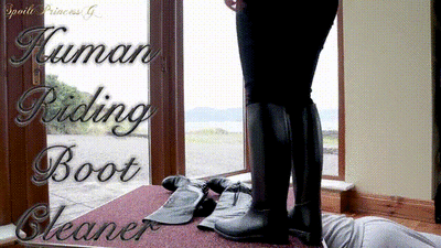 24801 - Human Riding Boot Cleaner