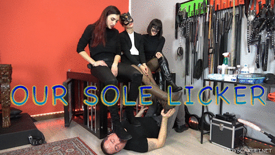 26070 - Lady Scarlet - Our sole licker