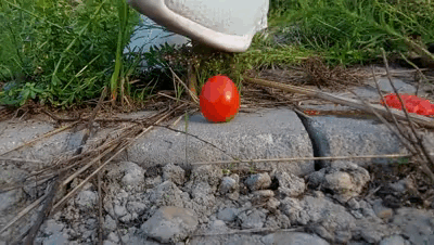 27949 - Crush on Tomatoes