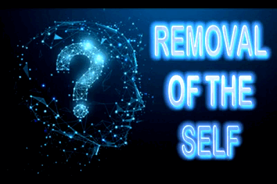 28460 - REMOVAL OF THE SELF