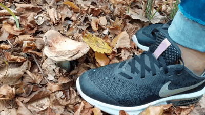 28622 - Sneakers vs mushrooms