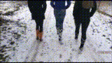 6558 - Three ladies in Cowboy Boots