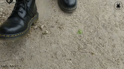 9386 - Walking in flachen Stiefeln  -  Walking in boots